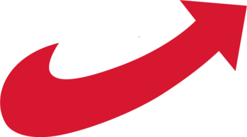 Logo der AfD-Bundestagsfraktion